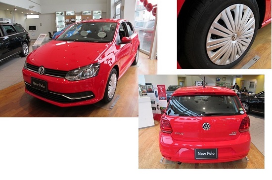 New Polo 4.jpg