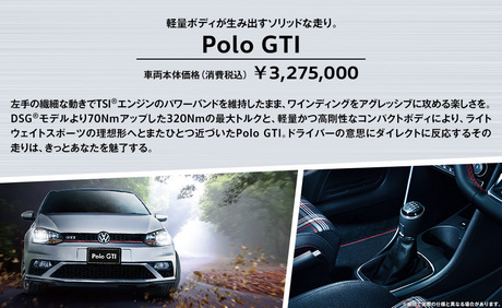 polo GTI.jpg