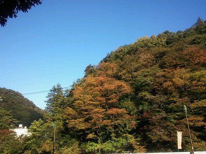 箱根紅葉.JPG