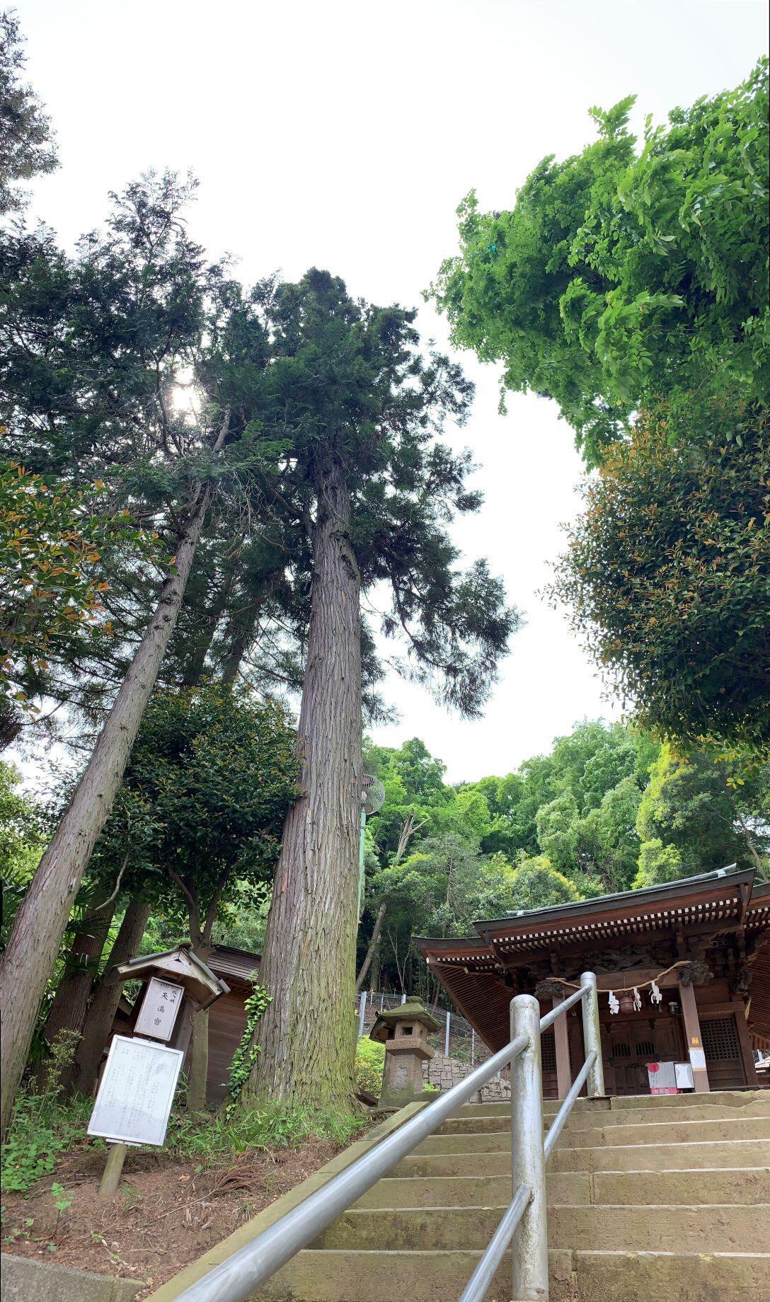 散策神社.jpg