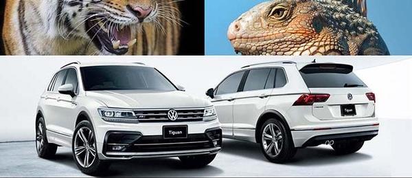 Tiguan.jpeg