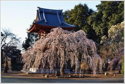 慈眼寺.jpg