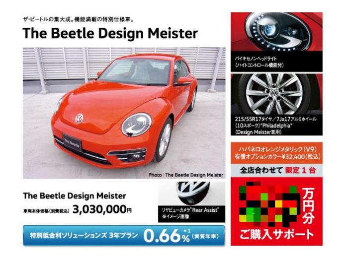 1.4Beetle.jpeg