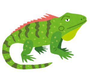 animal_iguana.png