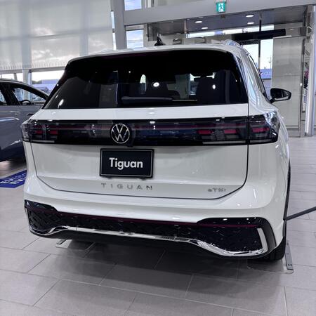 tiguan1.jpeg