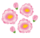 flower_momo.png