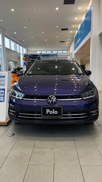 20241026POLO.jpg