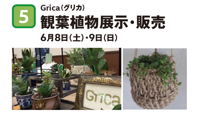 観葉植物.PNG