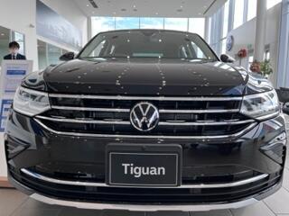 TIGUAN2.jpg